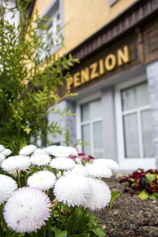 Penzion 43 Bor Екстериор снимка